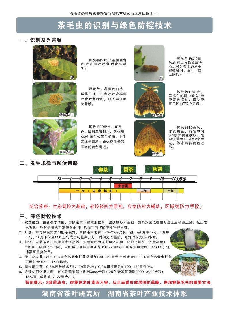 2茶毛虫的识别与绿色防控技术_1.jpg
