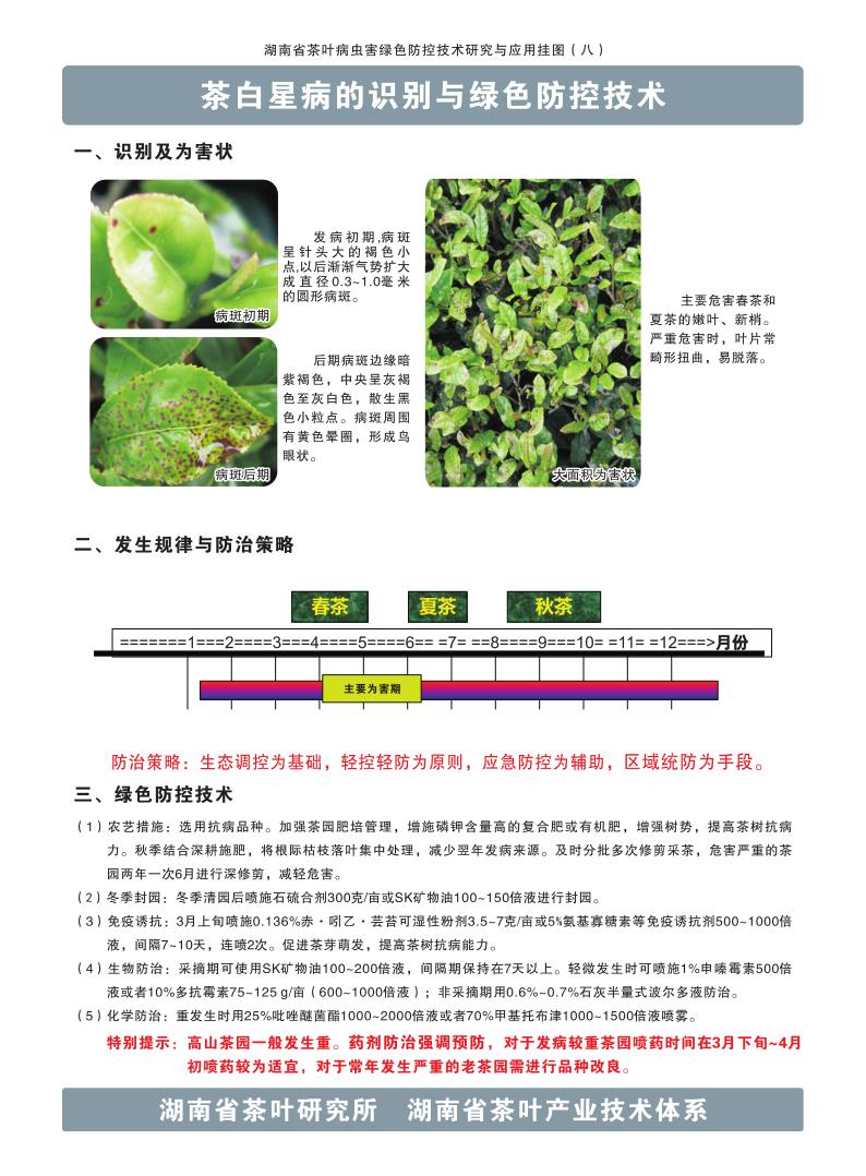 8茶白星病的识别与绿色防控技术_1.jpg